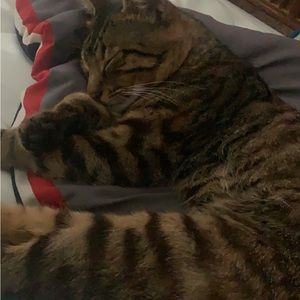 Meet your Posher, Caylen_